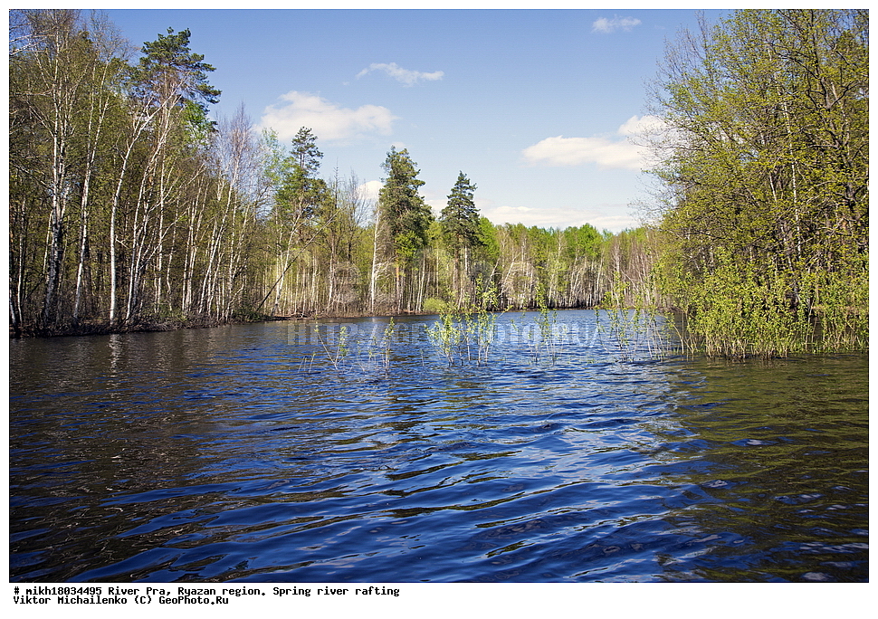  ���� ���, ��������� �������, �����, �����, ������, ��������� ������, ������, ����, ������ ����������, ����, �������  ����������� ������