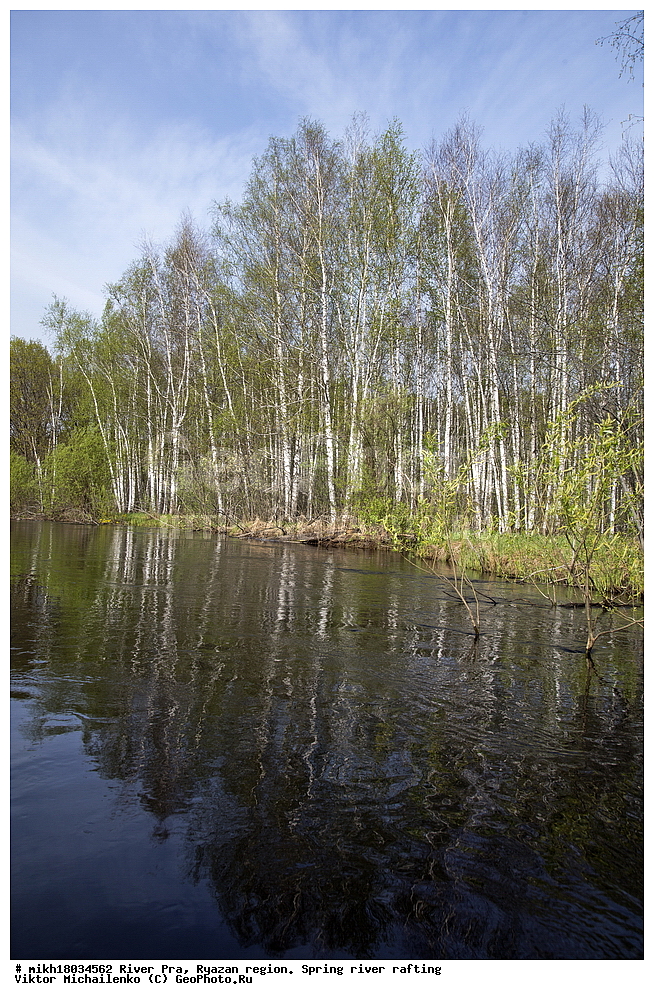  ���� ���, ��������� �������, �����, �����, ������, ��������� ������, ������, ����, ������ ����������, ����, �������  ����������� ������