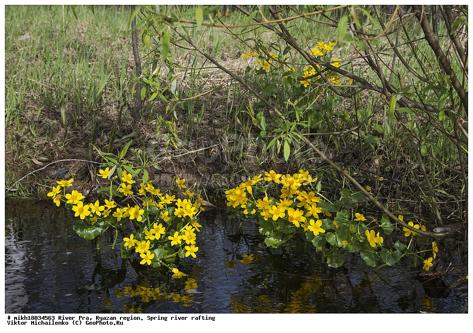  ���� ���, ��������� �������, �����, �����, ������, ��������� ������, ������, ����, ������ ����������, ����, �������  ����������� ������