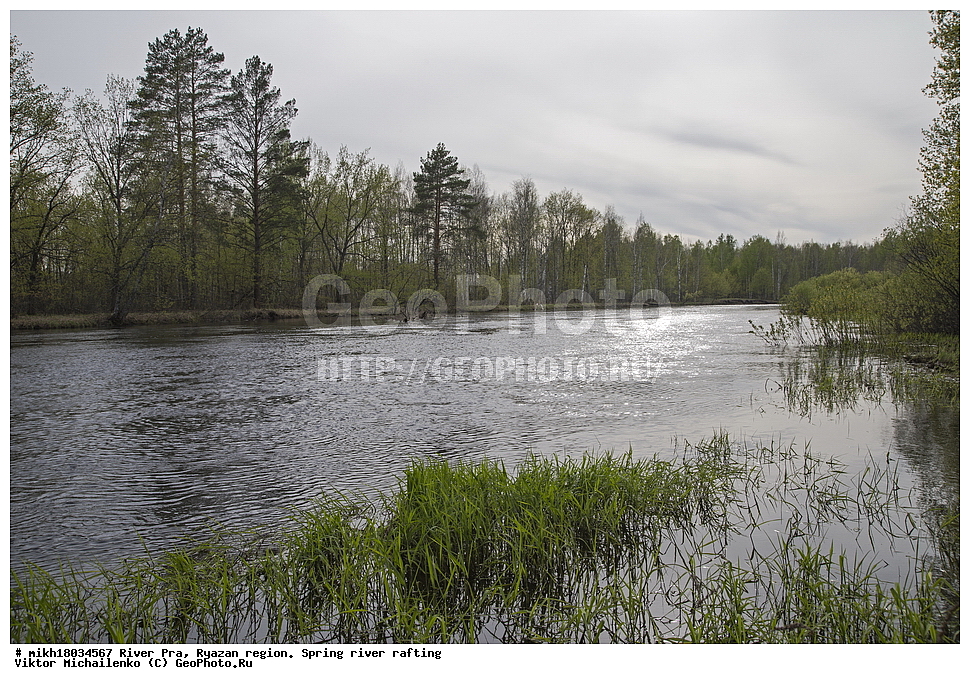  ���� ���, ��������� �������, �����, �����, ������, ��������� ������, ������, ����, ������ ����������, ����, �������  ����������� ������