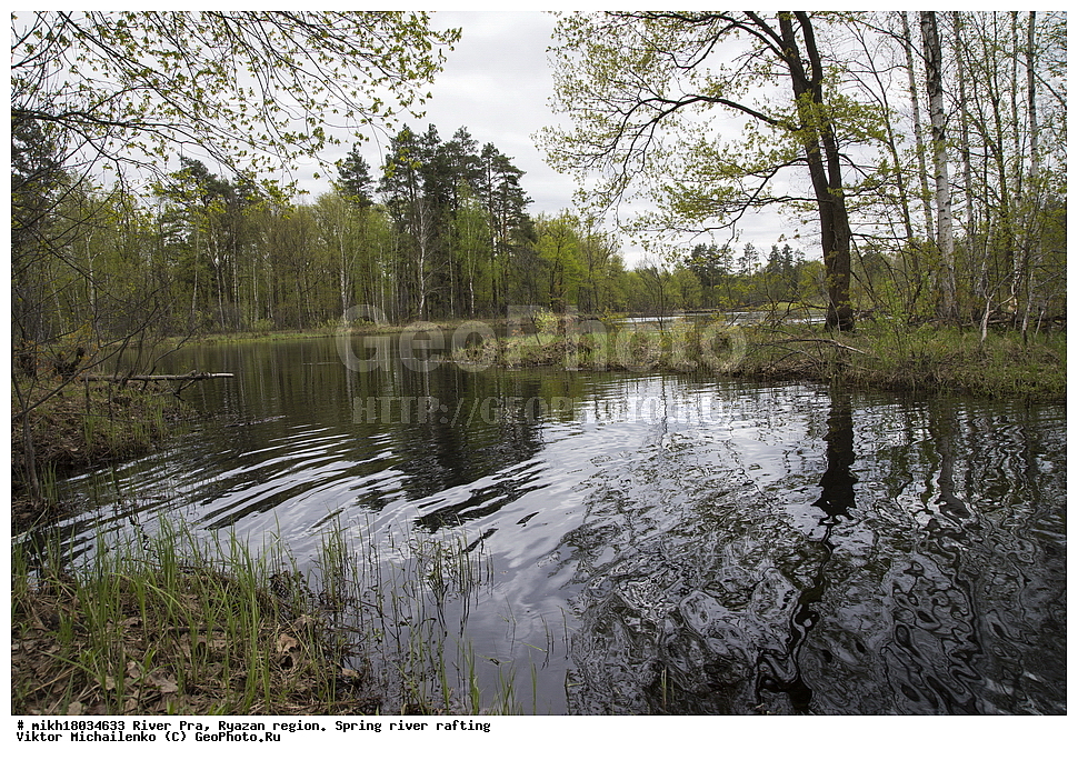  ���� ���, ��������� �������, �����, �����, ������, ��������� ������, ������, ����, ������ ����������, ����, �������  ����������� ������