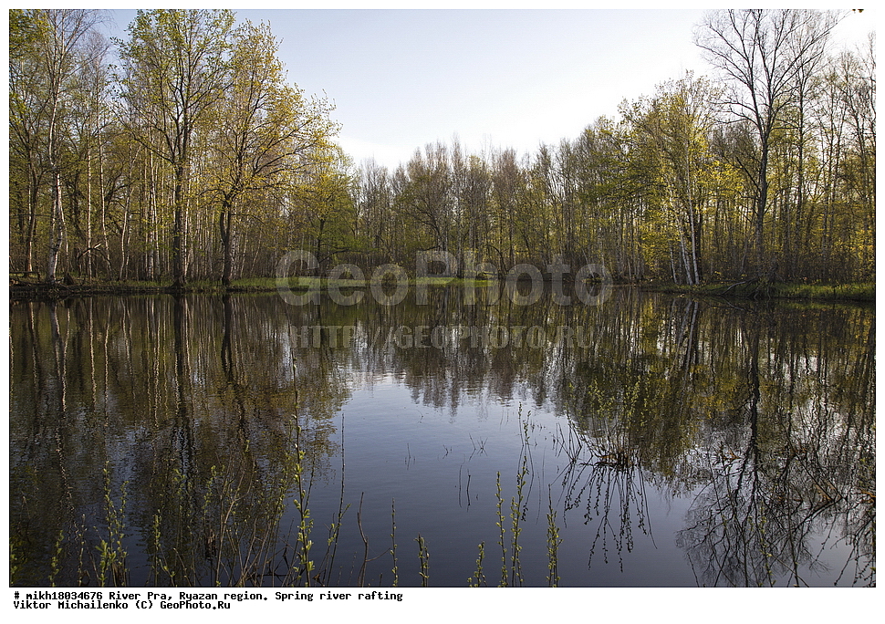  ���� ���, ��������� �������, �����, �����, ������, ��������� ������, ������, ����, ������ ����������, ����, �������  ����������� ������