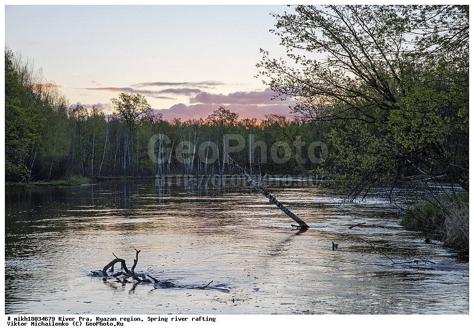  ���� ���, ��������� �������, �����, �����, ������, ��������� ������, ������, ����, ������ ����������, ����, �������  ����������� ������