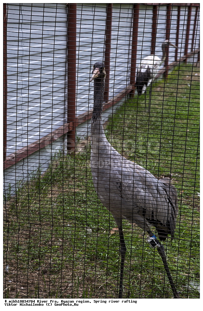  ���� ���, ��������� �������, �����, �����, ������, ��������� ������, ������, ����, ������ ����������, ����, �������  ����������� ������