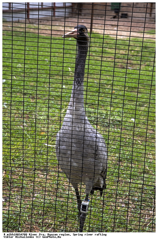  ���� ���, ��������� �������, �����, �����, ������, ��������� ������, ������, ����, ������ ����������, ����, �������  ����������� ������