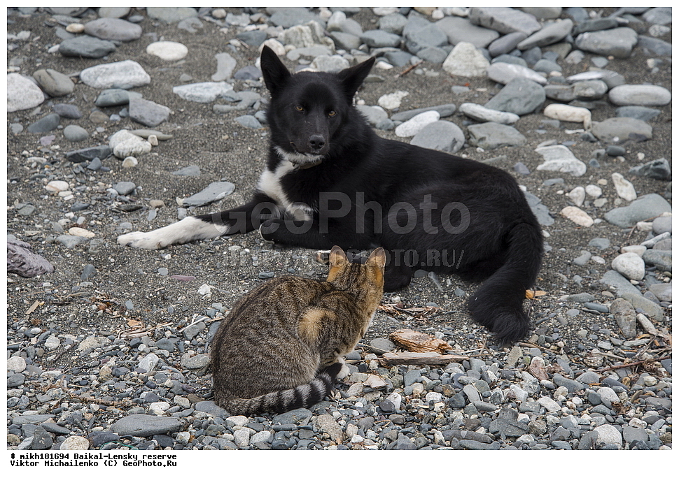 ����������, ������, ������, ��������� �������, ������, ����������, �������-�������, ���, ������, ������, ��������, ���������