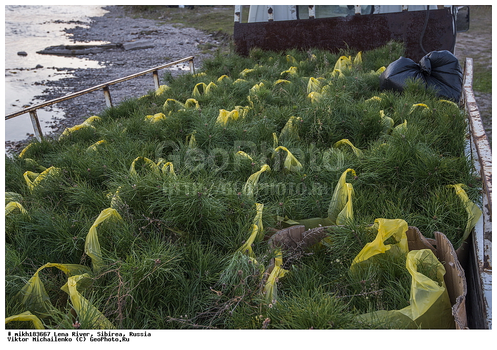 ����������, ������, ���� ����, ��������, ��������������, �������, �����, �������, ������ ���������, ������, ������, ��������� �������, ������� ��������