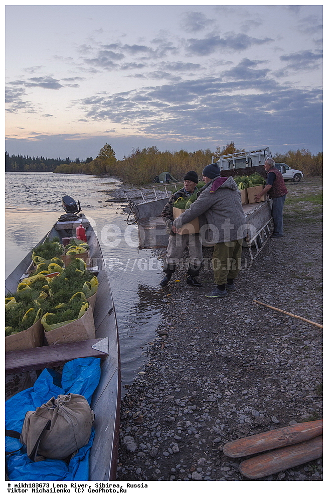 ����������, ������,  ���� ����, ��������������, �������, �����, �������, ������ ���������, ������, ������, ��������� �������, ������� ��������