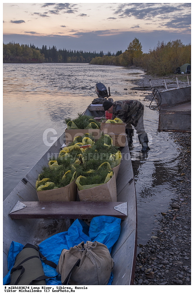 ����������, ������,  ���� ����, ��������������, �������, �����, �������, ������ ���������, ������, ������, ��������� �������, ������� ��������