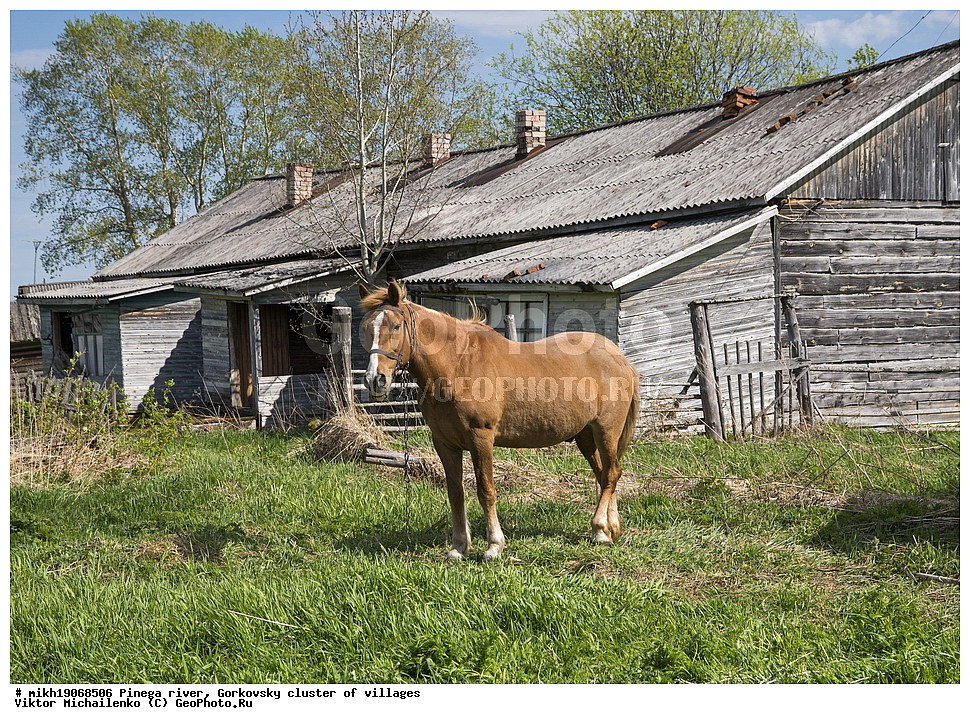  ������� ������, ���������� ����, ������, ����,  ������� �����, ������� ����, �������, ������