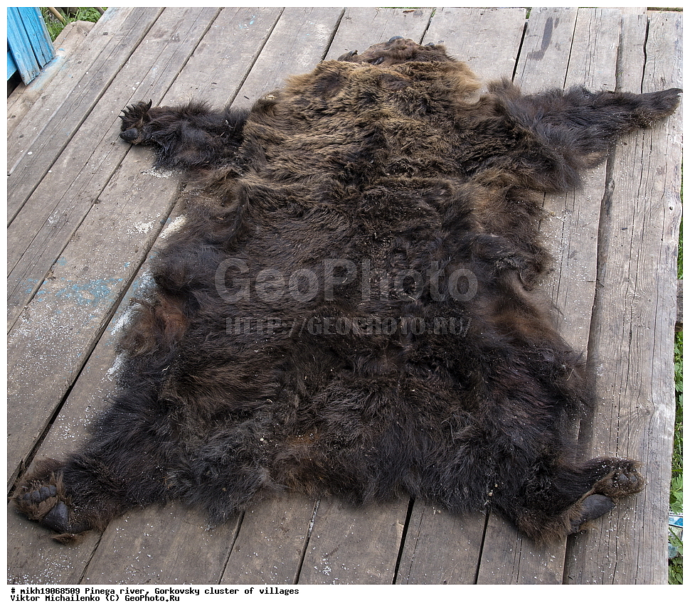  ������� ������, ���������� ����, ������, ����,  ������� �����, ������� ����, �������, ������