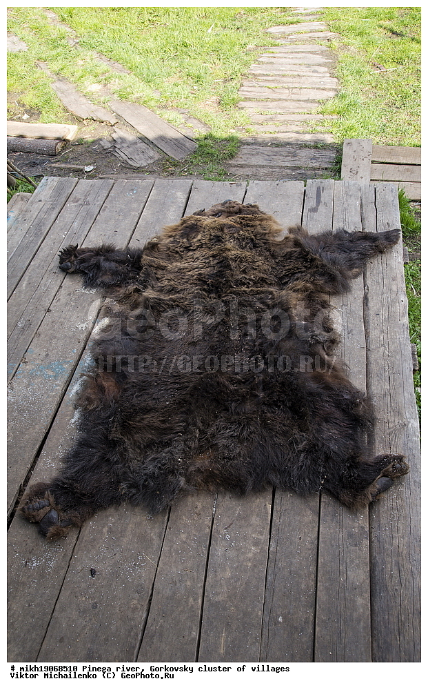  ������� ������, ���������� ����, ������, ����,  ������� �����, ������� ����, �������, ������