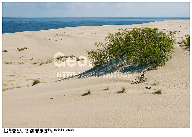 �������� ����, ���������� ���������, ��������������� �������, ����, �����