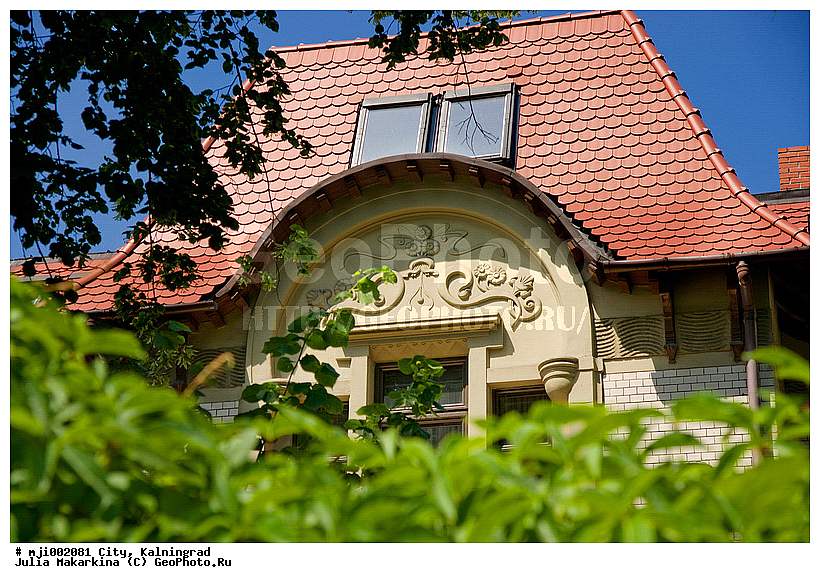 �����, ����������