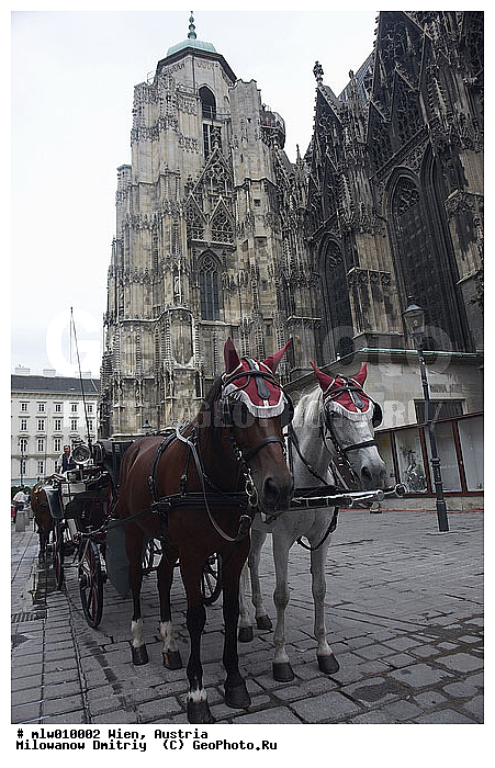 �������, ����