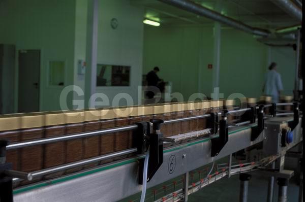 ����, �������, �����, ������������, ��������