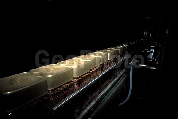 ����, �������, �����, ������������, ��������