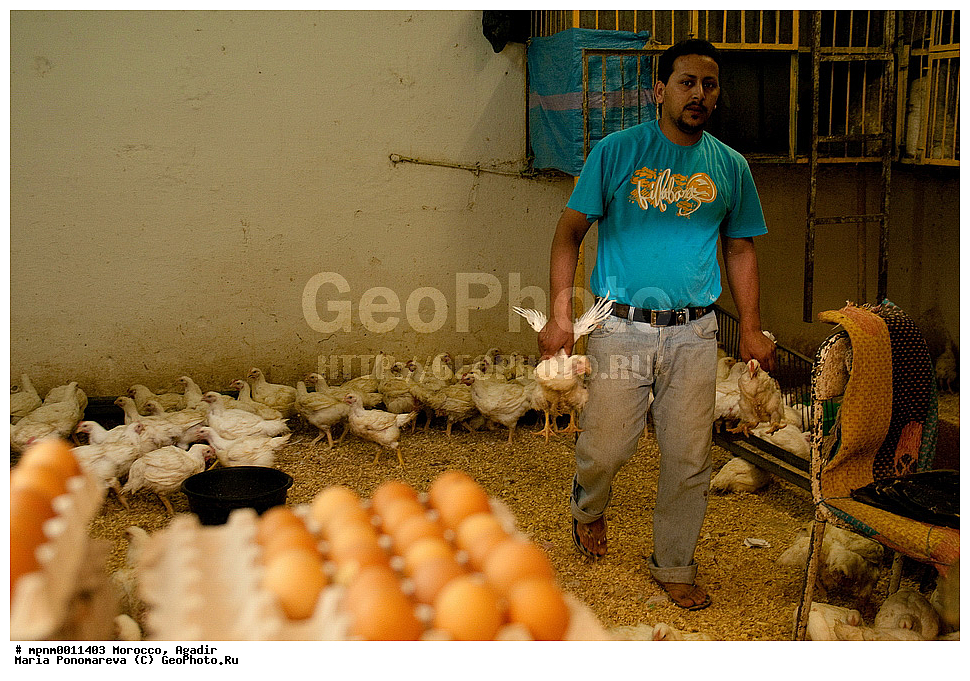 �������, ������, �����, �����