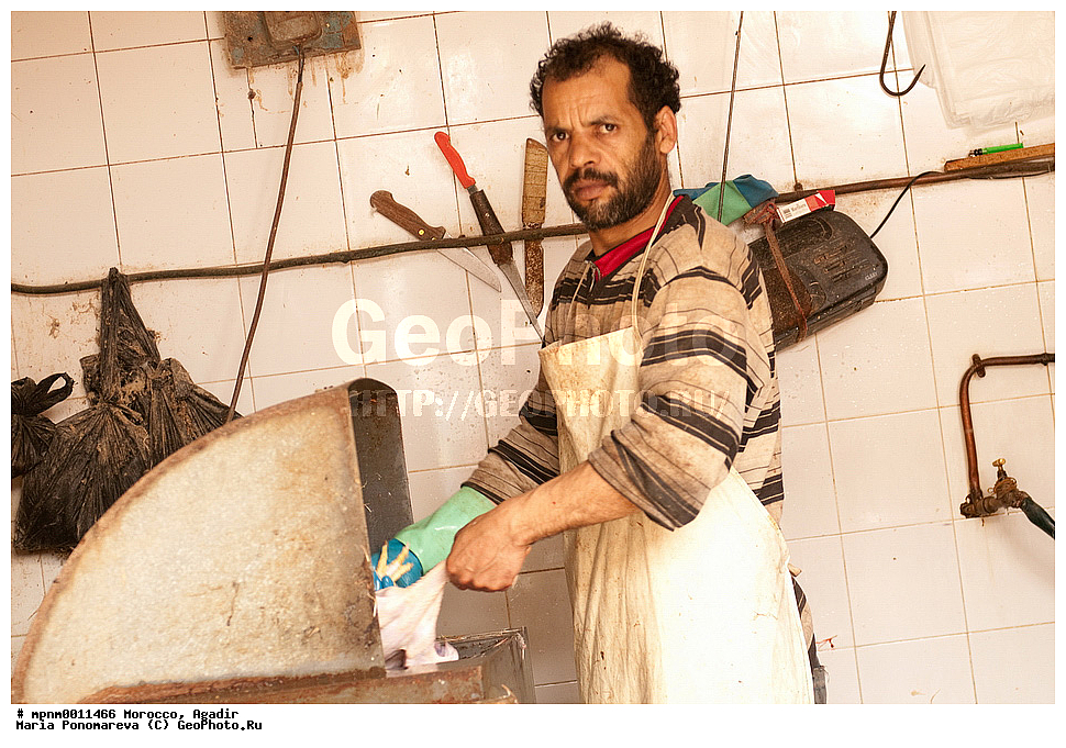 �������, ������, �����, �����