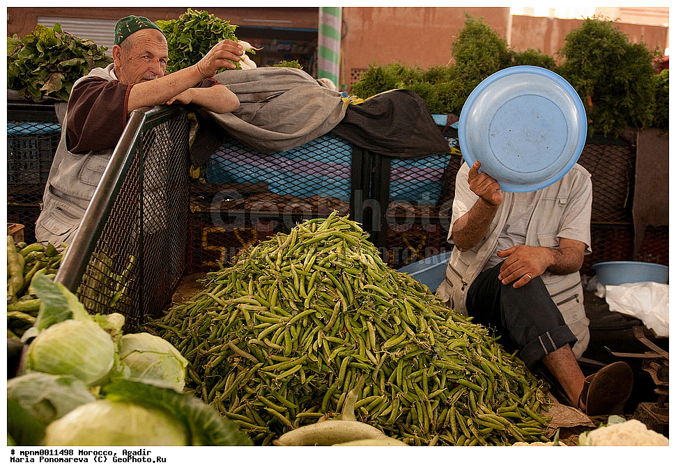 �������, ������, �����, �����