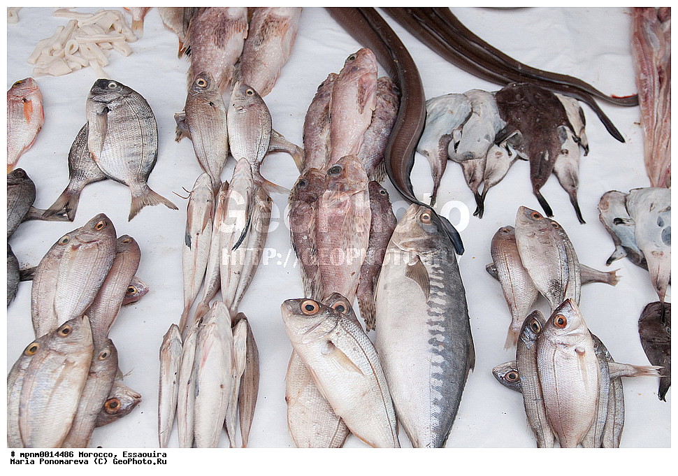 �������, ��������, ����� �����, �����