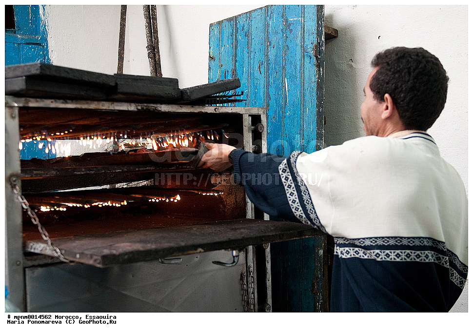 �������, ��������, ����� �����, �����