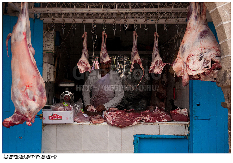 �������, ��������, ����� �����, �����