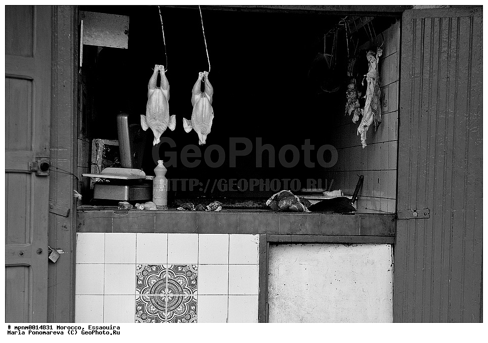 �������, ��������, ����� �����, �����