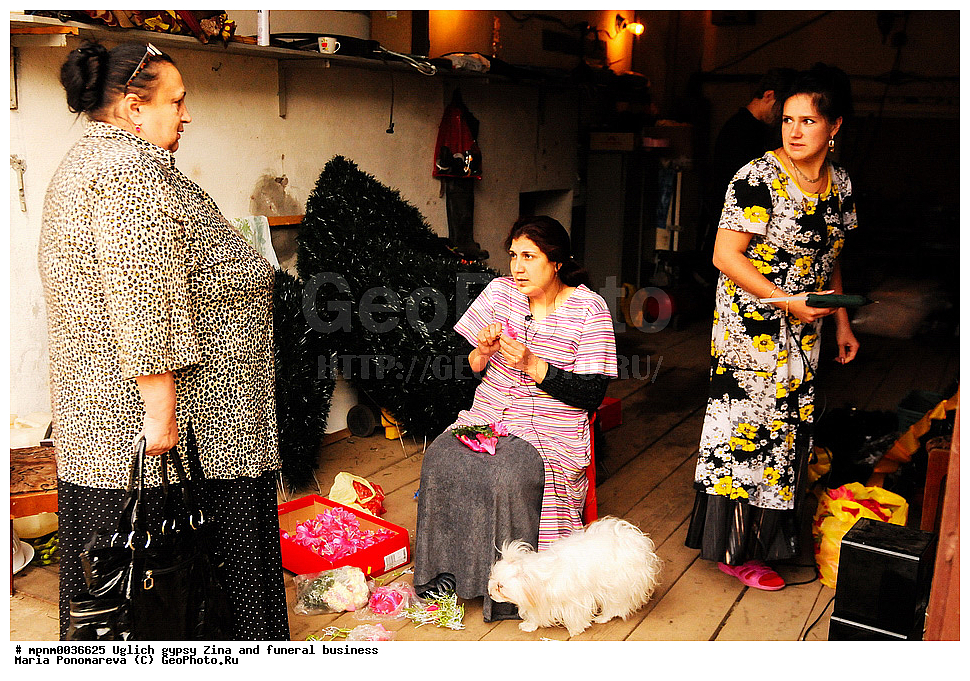 �����, �������, ����, ���������� ������