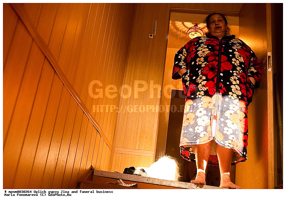 �����, �������, ����, ���������� ������