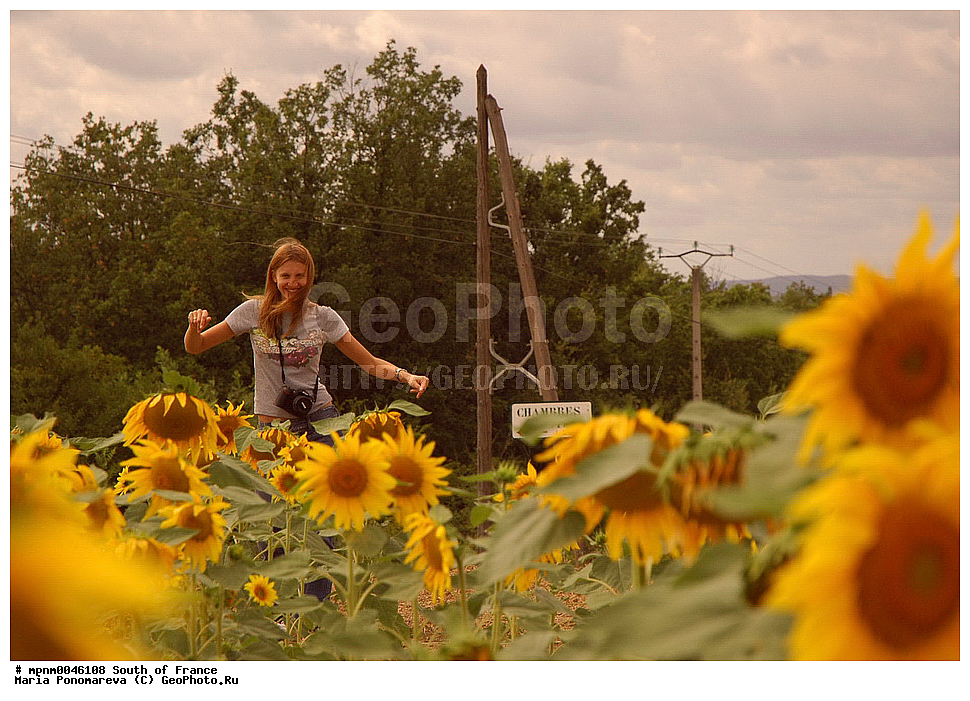 �������, �� �������, ����� �����, �����