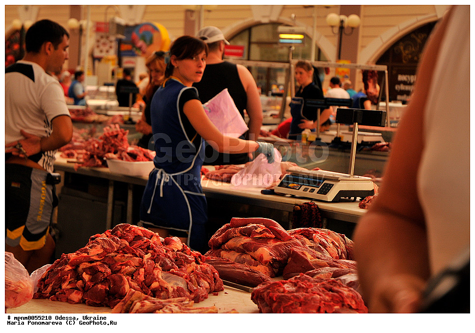 ������, �������, �����, �����, �����, ��������, �������