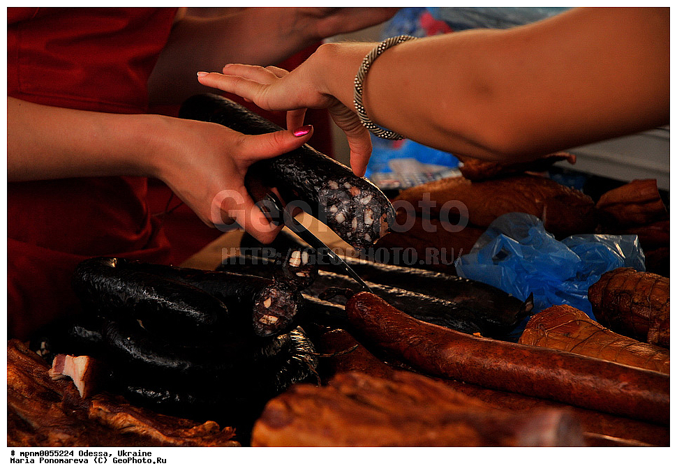 ������, �������, �����, �����, �����, ��������, �������