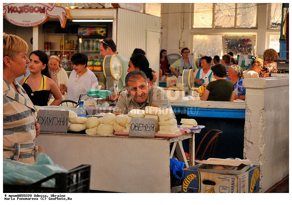 ������, �������, �����, �����, �����, ��������, �������