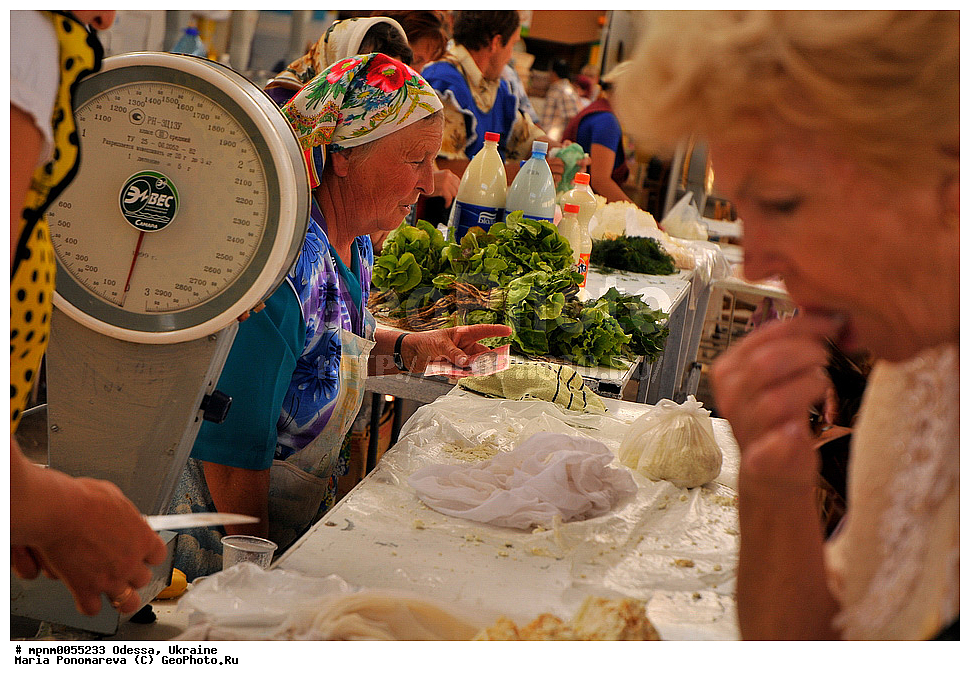 ������, �������, �����, �����, �����, ��������, �������