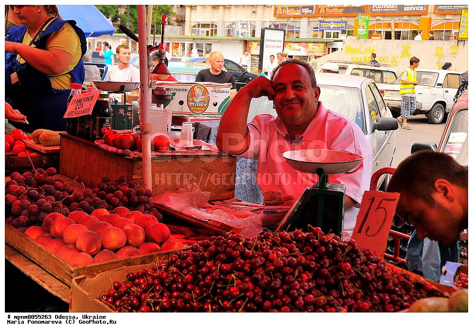 ������, �������, �����, �����, �����, ��������, �������