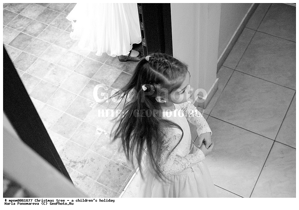 ���������� ����, ����, ��������, �������, ��������, ����� ���