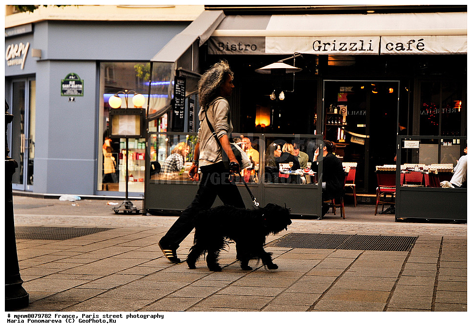 �����, ����������, �����, ����, �������