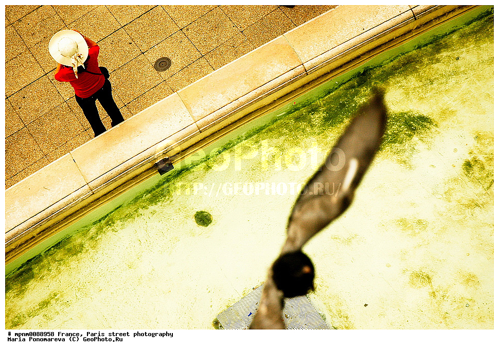 �����, ����������, �����, ����, �������