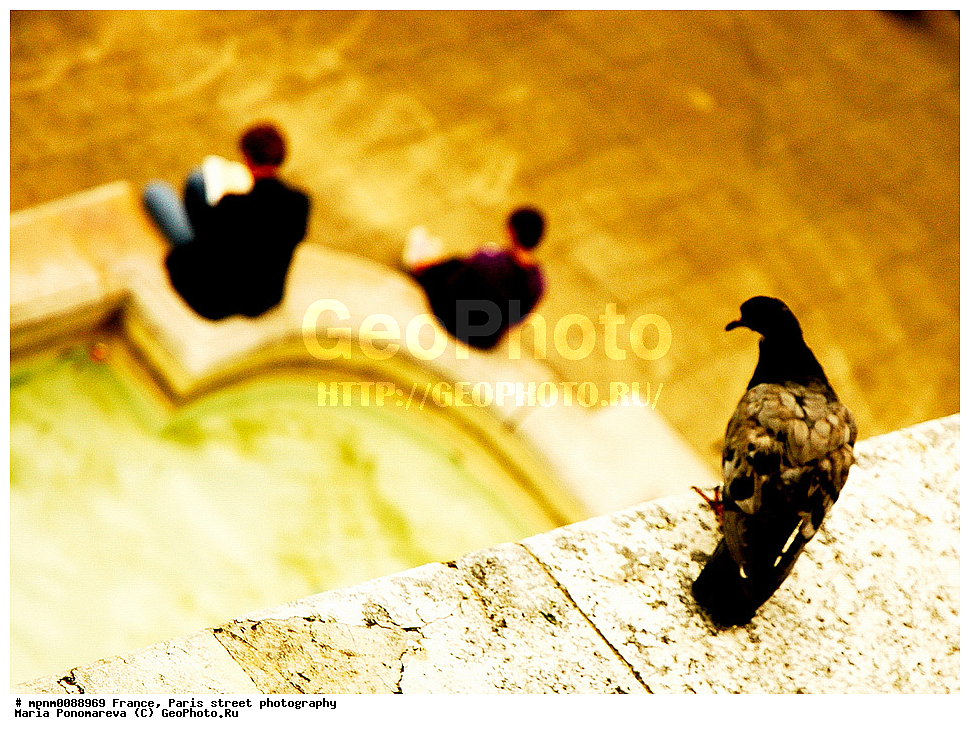 �����, ����������, �����, ����, �������