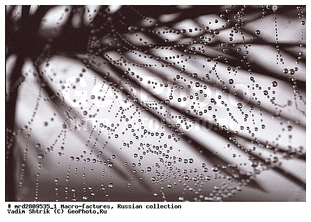 ����, ������������, ��������, ����, ����, ��������������, �������������, ��������������