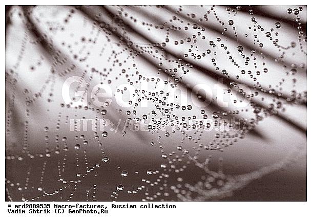 ����, ������������, ��������, ����, ����, ��������������, �������������, ��������������