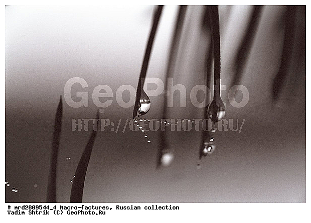 ����, ������������, ��������, ����, ����, ��������������, �������������, ��������������