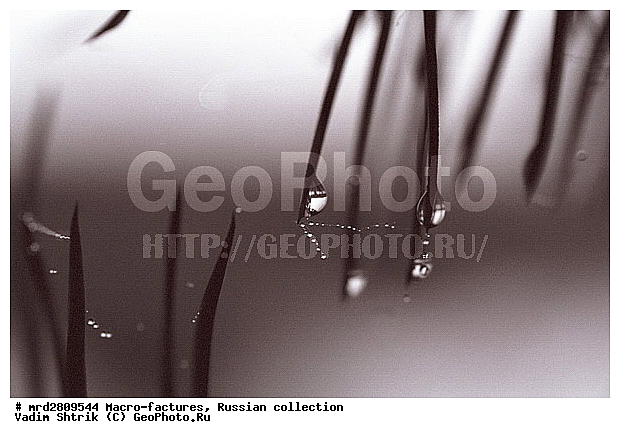 ����, ������������, ��������, ����, ����, ��������������, �������������, ��������������