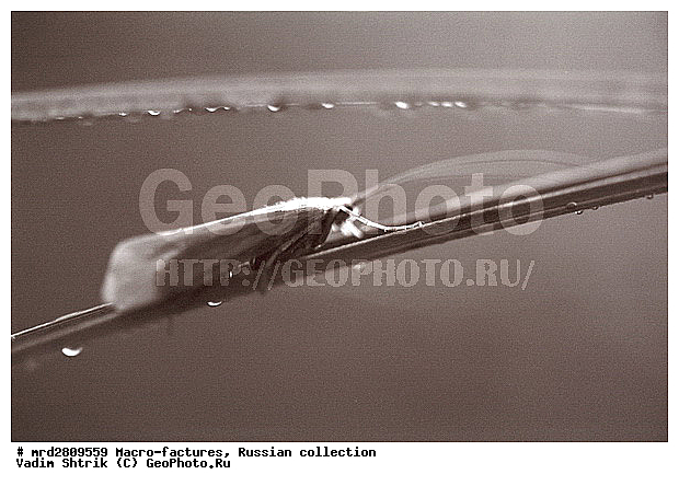 ����, ������������, ��������, ����, ����, ��������������, �������������, ��������������