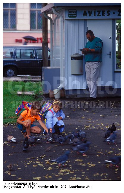 ����������, ����, �����, ���