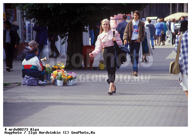 ����������, ����, �����