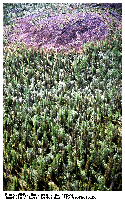 ����������� ����, ����, ��������������, ��� ������, �������, ���