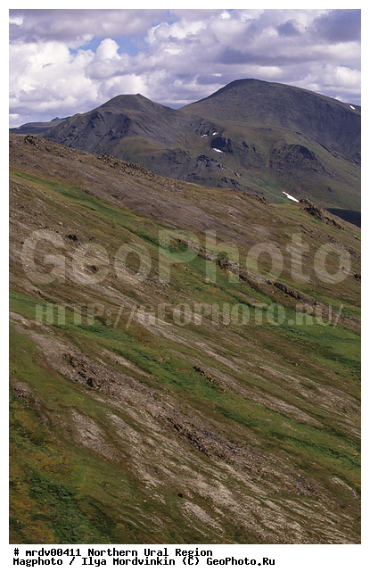 ����������� ����, ����, ��������������, ��� ������, ����