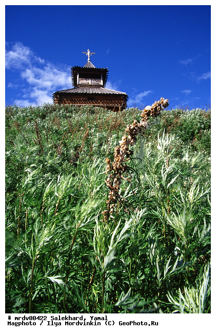 ��������, ����, ���, ����, �����